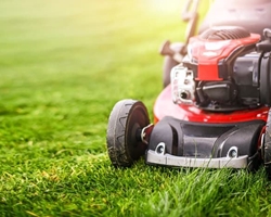 Maquinaria para jardinería: La elección perfecta para tu próximo proyecto verde