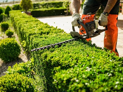 ¿Qué maquinaria es necesaria para mantener el jardín en perfecto estado?